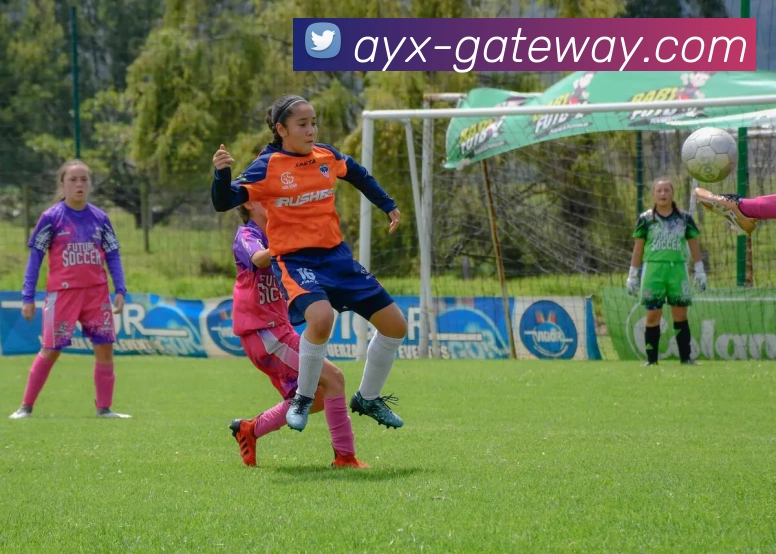 辅助工具 辅助工具